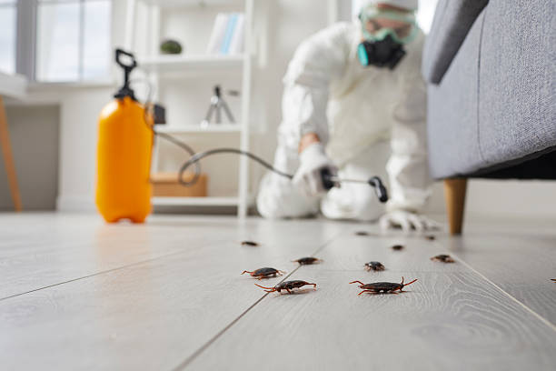 Commercial Kitchen Cockroach Control in Fort Belvoir