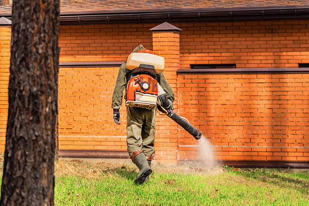 Cockroach Follow-Up and Monitoring in Fort Belvoir